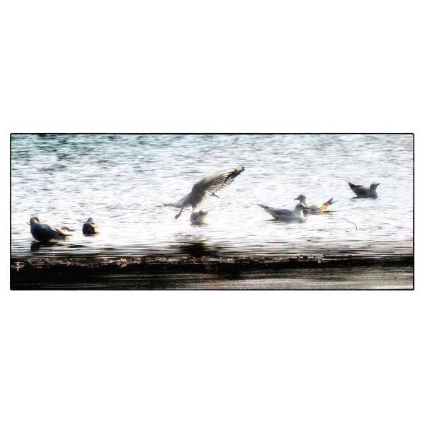 PHOTO84, CLUB, 84 , LUBERON